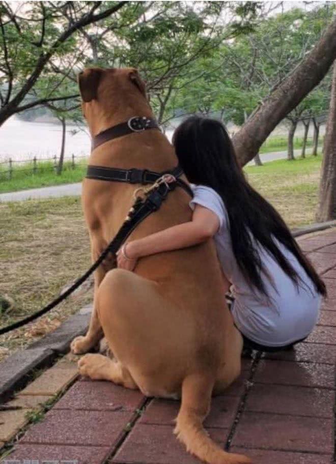 路遇170斤狗狗，小朋友以为是狮子想扔石头!家长的教育超赞