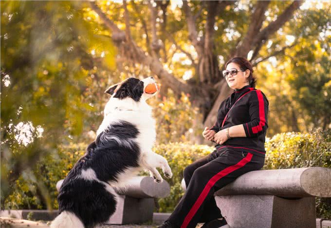 体味大的几种狗,做好洗护,依旧有味