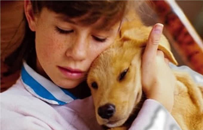 爱犬在家称霸王连主人都不放过，你还不反省?