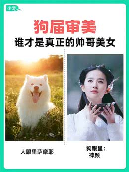 学到了!狗狗也有自己的选美标准?看看你家毛孩子是什么类型?