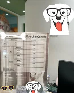 宠物店一房难求!国庆假期宠物寄养生意火爆→