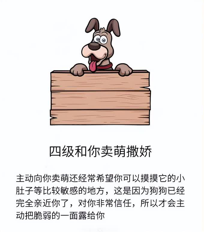 狗狗爱你程度分7级