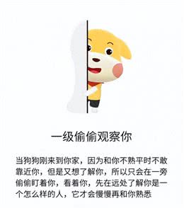 狗狗爱你程度分7级