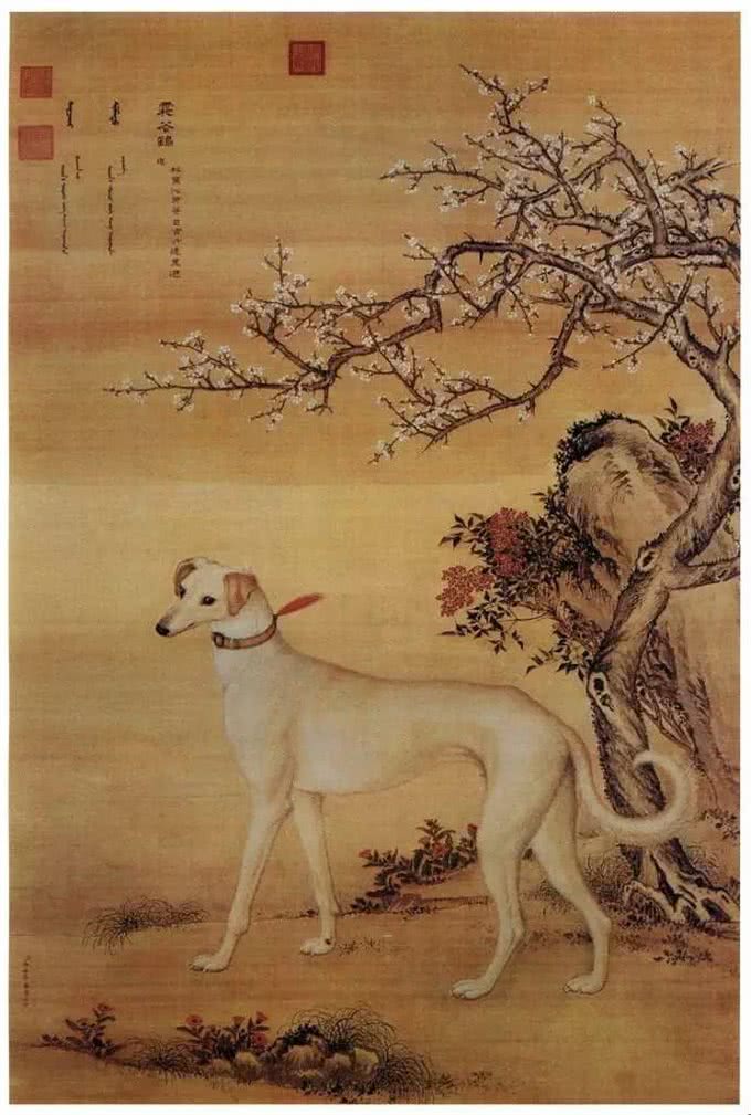狗子的地位下降史