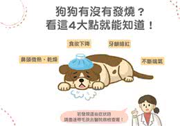 养狗10年才知道!狗狗有没有发烧?看这4大点就知道