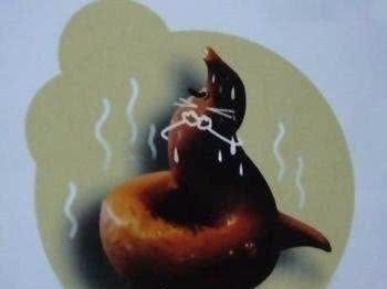 狗狗的便便还分9种?我还是第一次听说