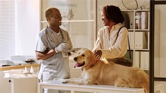 犬猫忍痛能力是人类10倍!定期健检不容忽视，与毛孩相伴更长久