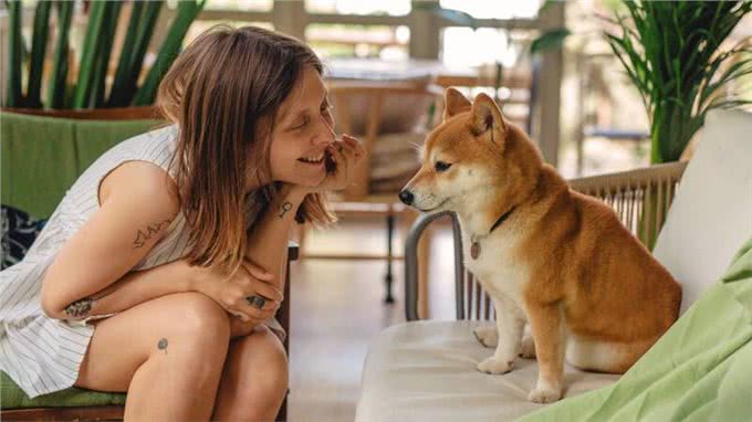 犬猫忍痛能力是人类10倍!定期健检不容忽视，与毛孩相伴更长久