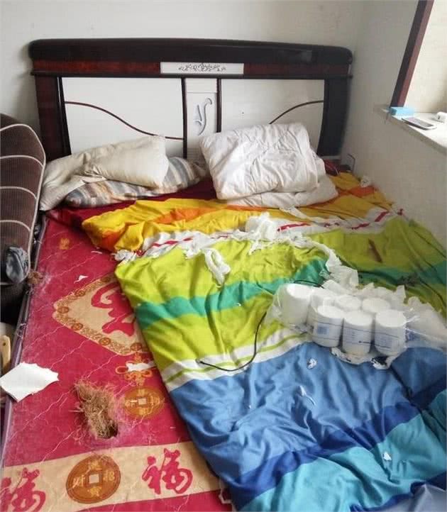 网友下班回家，发现自家哈士奇特别乖，进了卧室以后，只想哭