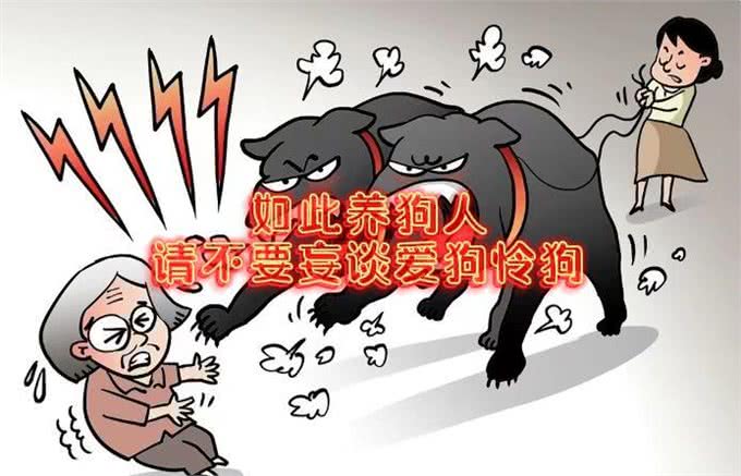 养狗遛狗不拴绳，自语狗不会咬人，咬不咬人那只是你的认知