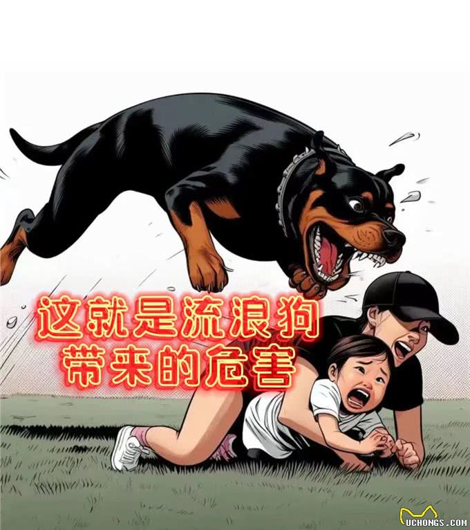 养狗遛狗不拴绳，自语狗不会咬人，咬不咬人那只是你的认知