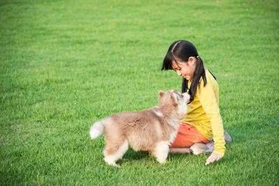 遛狗这件事你应该知道的8点注意事项