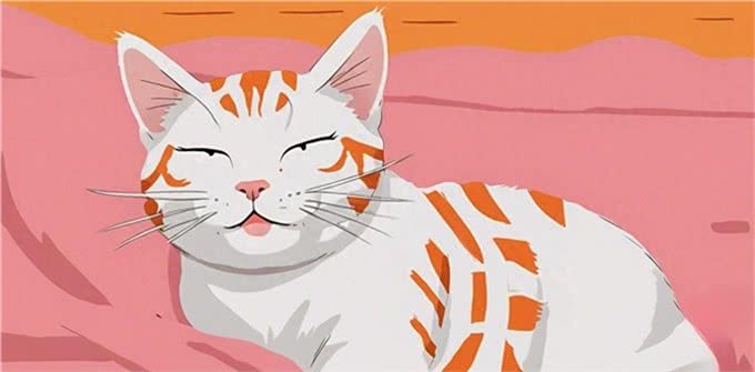 9个生活特征，证明猫过得很好，全有就说明猫跟着你很享福