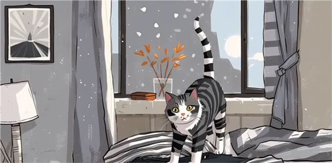 9个生活特征，证明猫过得很好，全有就说明猫跟着你很享福
