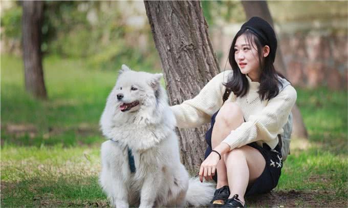 养了狗狗这么多年，你得知道关于狗狗的这些知识