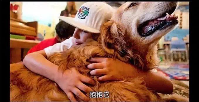 狗狗的心声:我们捣蛋行为其实是在说我爱你导语