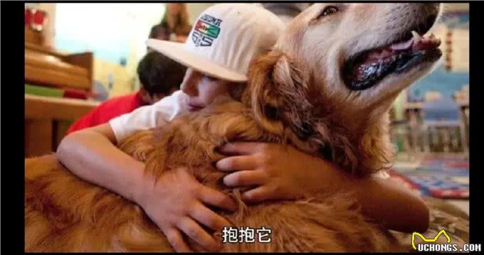 狗狗的心声:我们捣蛋行为其实是在说我爱你导语