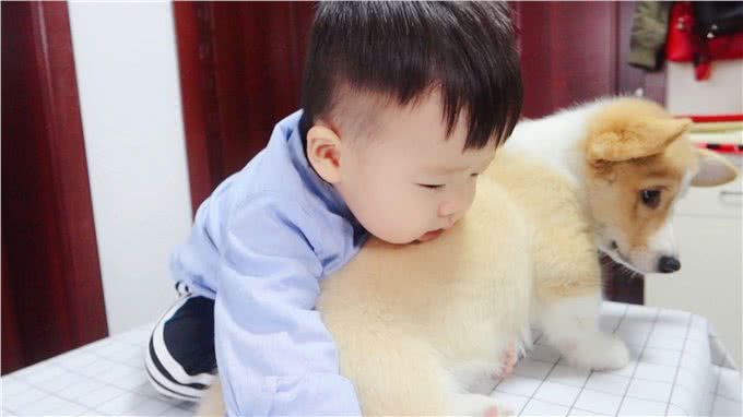 给宝宝养只狗吧，相互陪伴着一起长大，你不知道的好处竟然有这么多