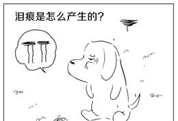 狗狗泪痕是如何产生的呢?
