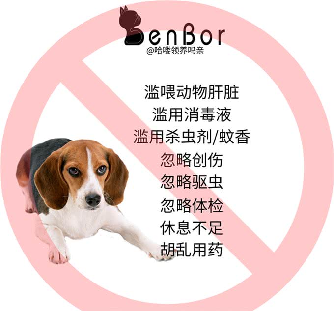 可怕，在主人毫不知情的情况下，这种疾病就夺走了狗狗的生命