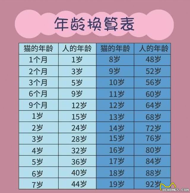 布偶猫从几岁开始步入晚年?老了之后该如何照顾?