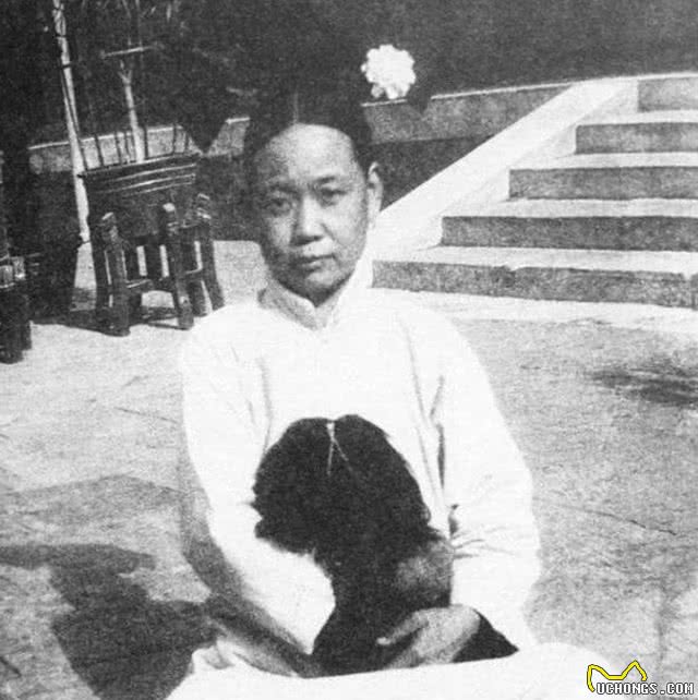 古人养狗有多疯狂?盘点我国历朝的人狗情缘