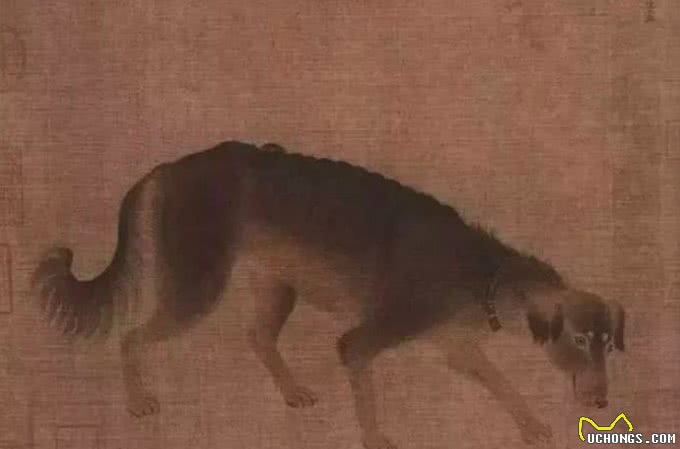古人养狗有多疯狂?盘点我国历朝的人狗情缘