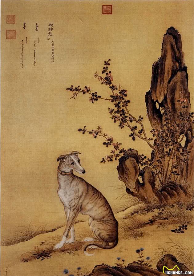 古人养狗有多疯狂?盘点我国历朝的人狗情缘