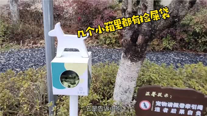 这俩天带小狗旅行住的地方大家都在问，今天来个完整的入住感受