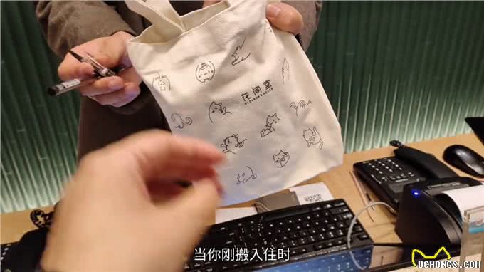 这俩天带小狗旅行住的地方大家都在问，今天来个完整的入住感受