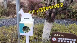这俩天带小狗旅行住的地方大家都在问，今天来个完整的入住感受