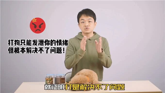 恕我直言，打狗的都不配养狗!