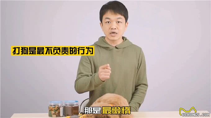 恕我直言，打狗的都不配养狗!