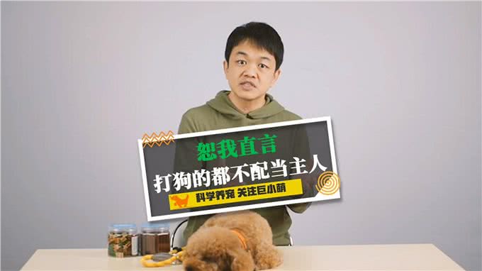 恕我直言，打狗的都不配养狗!