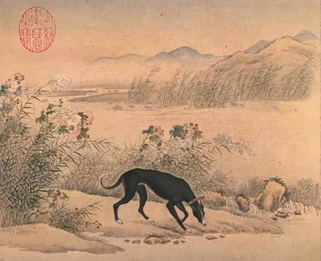 古人是如何来挑选优秀狗狗的?从狗的叫声和毛色之说来看起