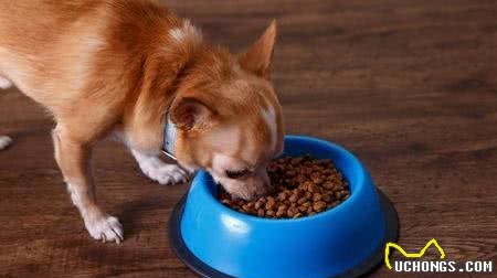 去国外进口或国内少数纯种繁育场购买纯种犬时，应索取的四个文件