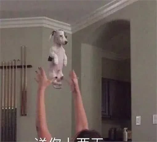 狗有多爱你，就看它的屁股离你的脸有多近