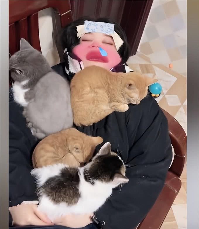女子阳性高烧不退，4只猫陆续窝到主人身上：咋还长猫了呢?
