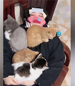 女子阳性高烧不退，4只猫陆续窝到主人身上：咋还长猫了呢?