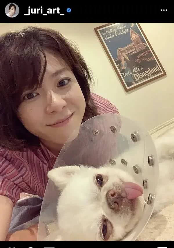 上野树里13岁的爱犬手术成功：它相当于人类的80岁