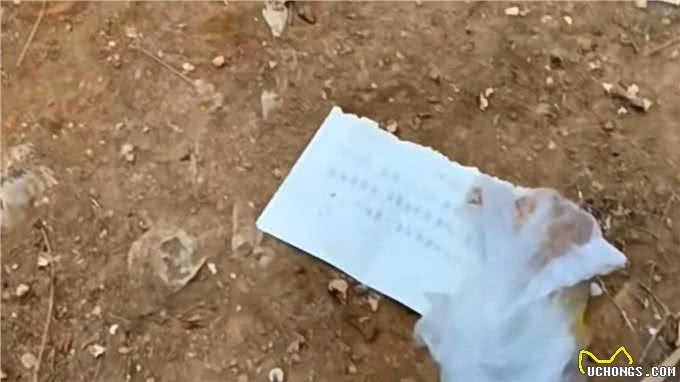 比熊被主人扔在路边后，留下一张字条独自离去，狗狗冻得浑身颤抖