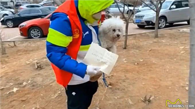 比熊被主人扔在路边后，留下一张字条独自离去，狗狗冻得浑身颤抖