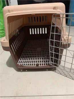 正确认识狗狗出行工具—航空箱