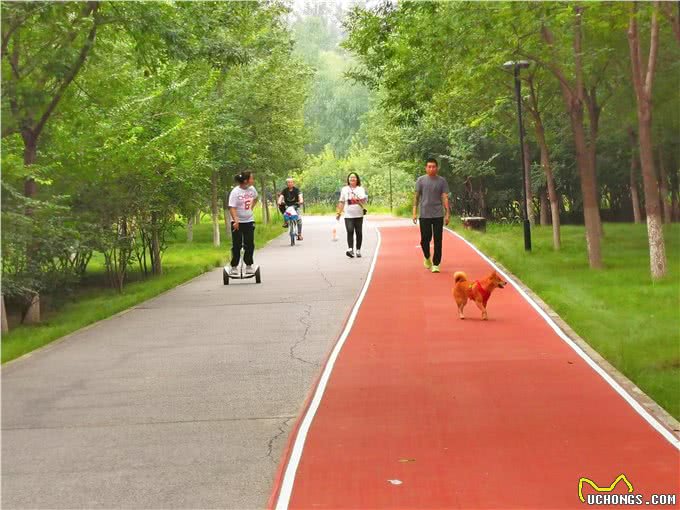 带上宠物逛公园,盘点北京可以带狗去的7个景点,出行前做好攻略