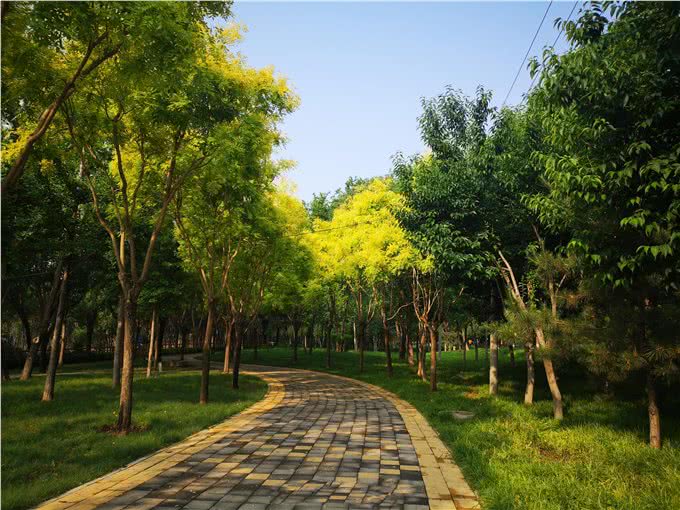 带上宠物逛公园,盘点北京可以带狗去的7个景点,出行前做好攻略