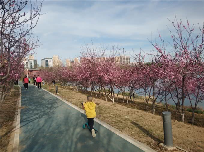 带上宠物逛公园,盘点北京可以带狗去的7个景点,出行前做好攻略