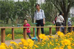带上宠物逛公园，盘点北京可以带狗去的7个景点，出行前做好攻略