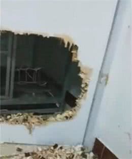 减肥光靠运动没效果?不如动用一下狗狗的力量