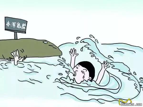 狗狗会游泳是天生的吗?第一次下水它会不会紧张
