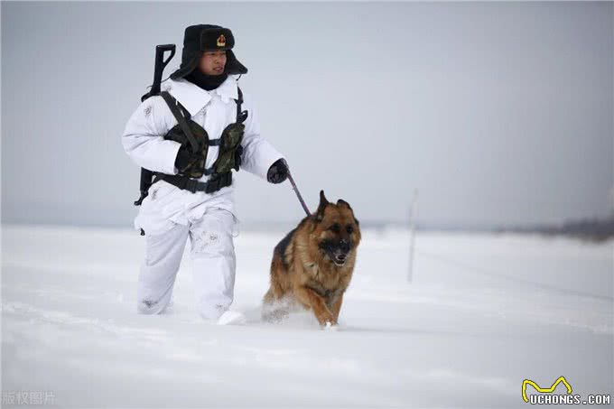 人到中年就是狗